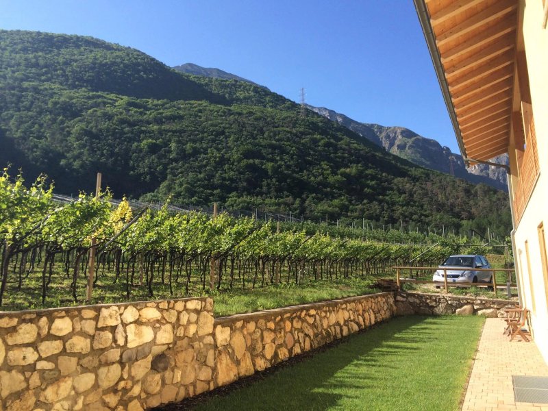 Agriturismo Al Maniero