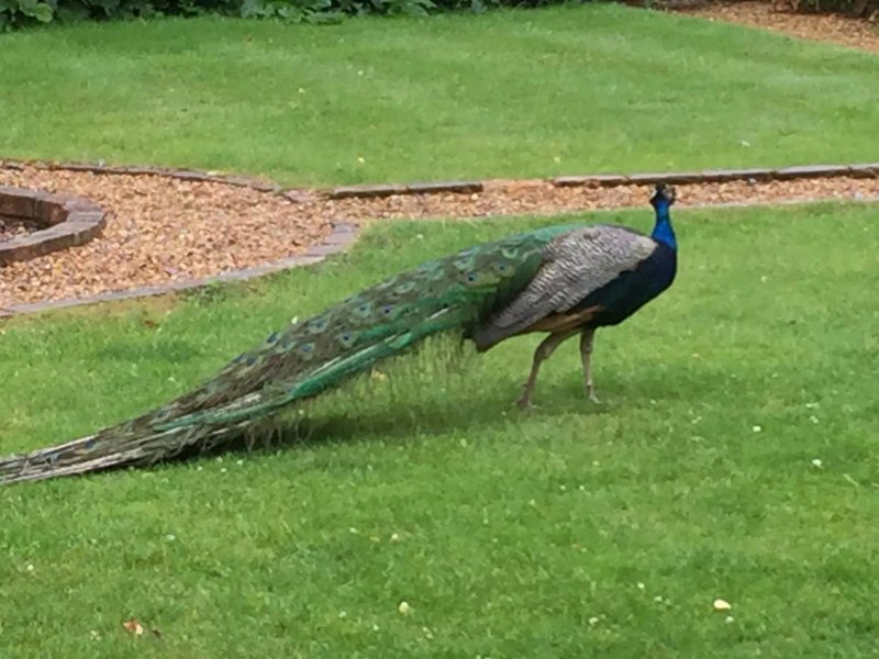 Northbrook Park