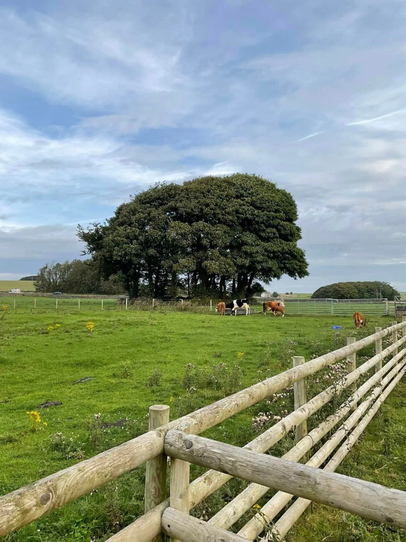 Pomeroy Farm