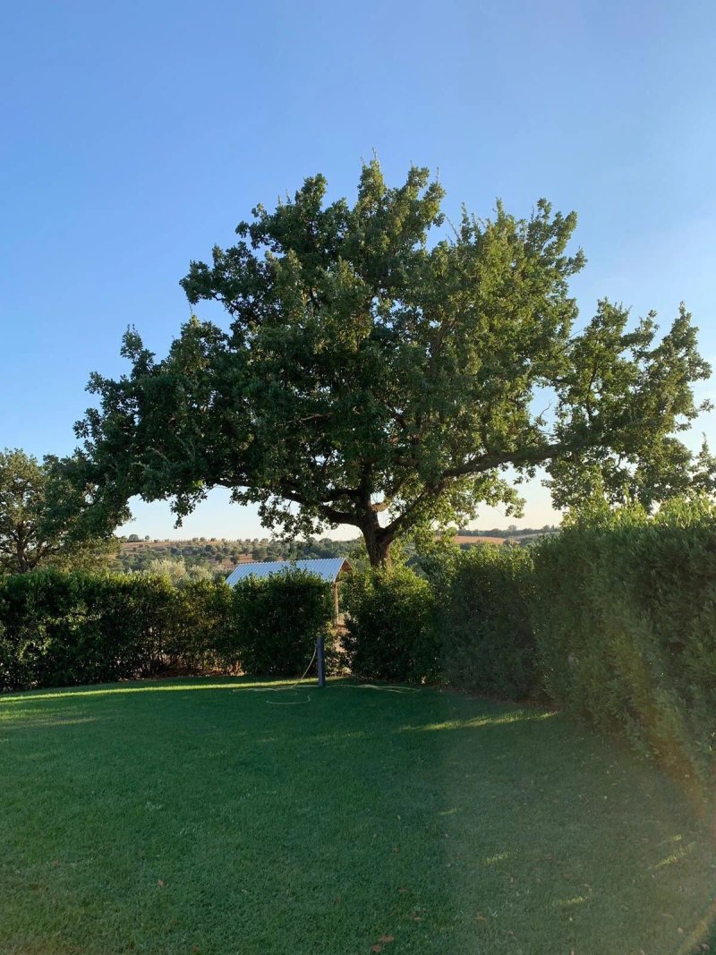 Agriturismo Le Siepi
