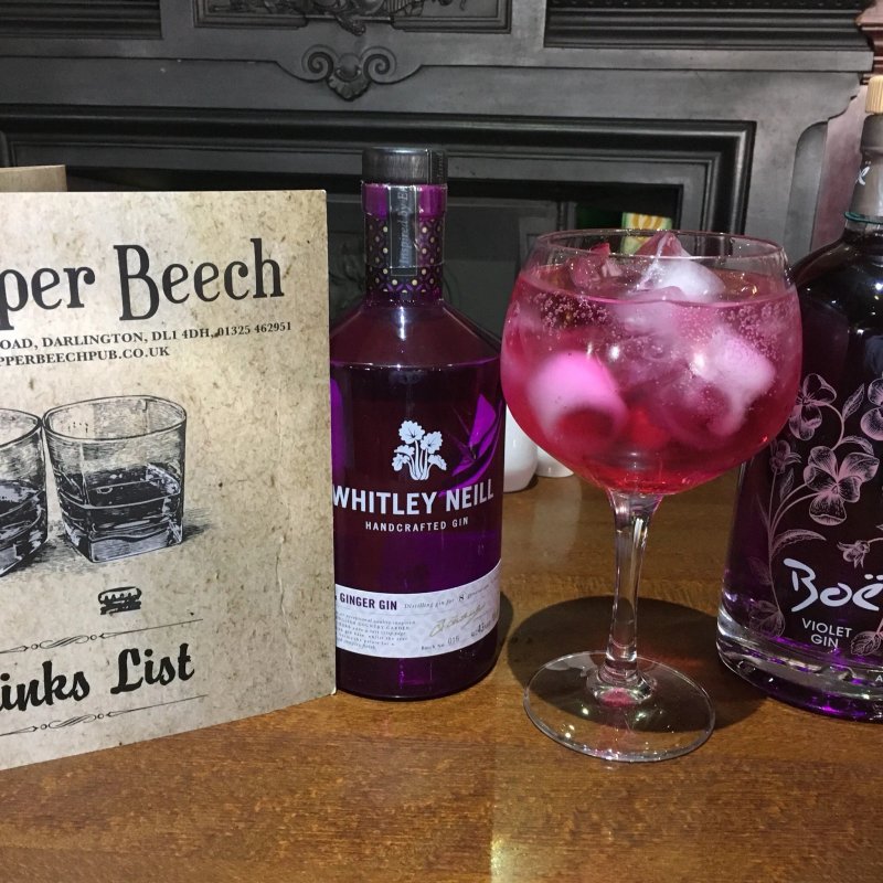 The Copper Beech