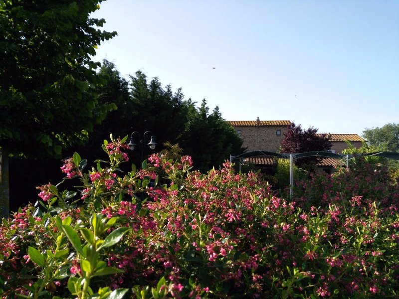 Villa Toscana La Mucchia