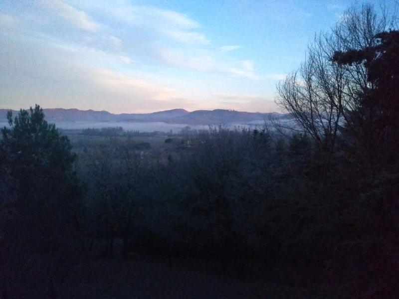 Fattoria del Cerretino
