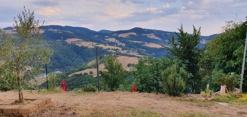 Agriturismo Il Viandante
