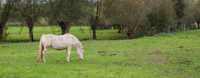 Ferme Chateau de Laneffe