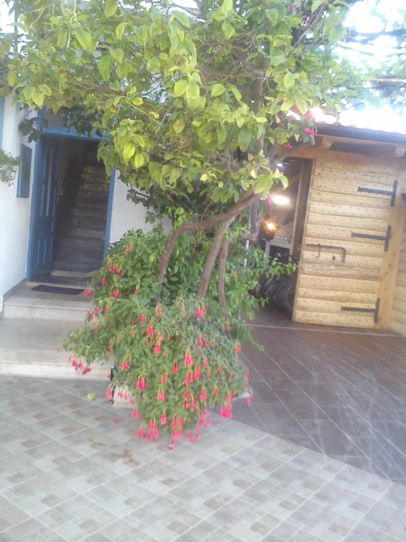 Apartments and Pension Ivan