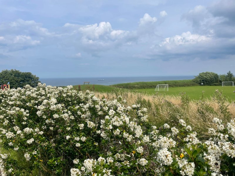 Northcliffe & Seaview Holiday Parks