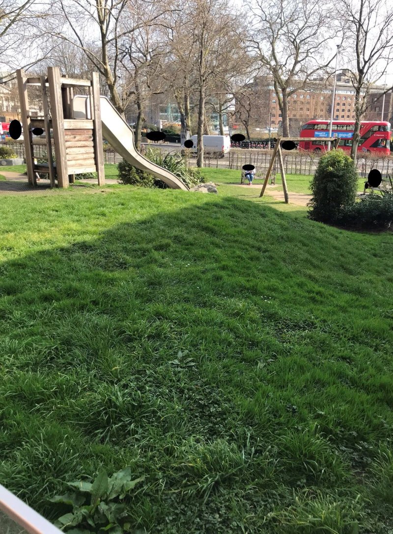 Tower Hill Garden