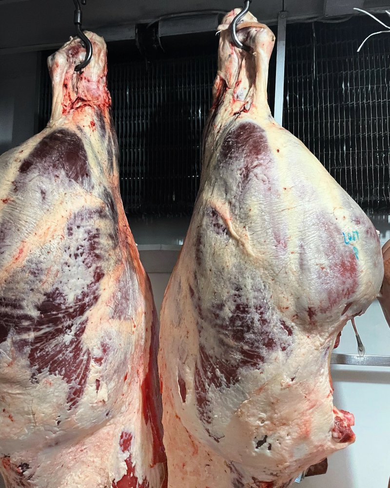 Lo Monaco Altra Cucina