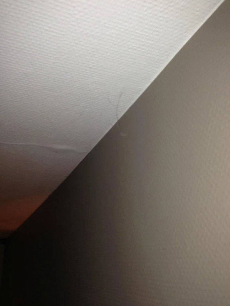 Hotel Ter Zaele
