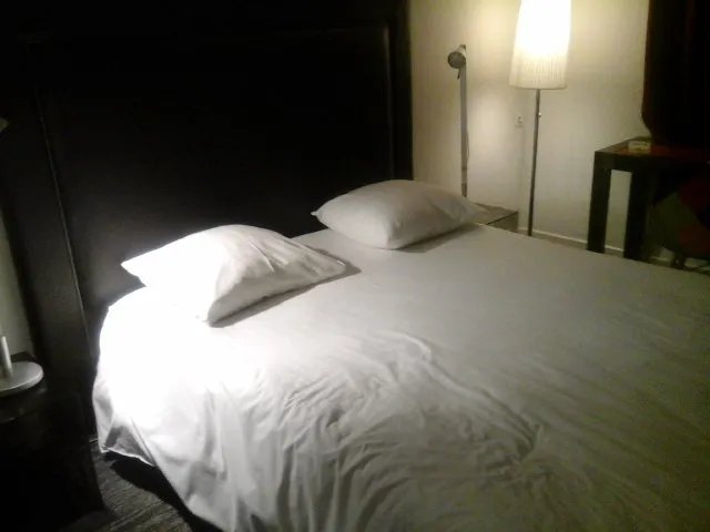 Hotel Orion