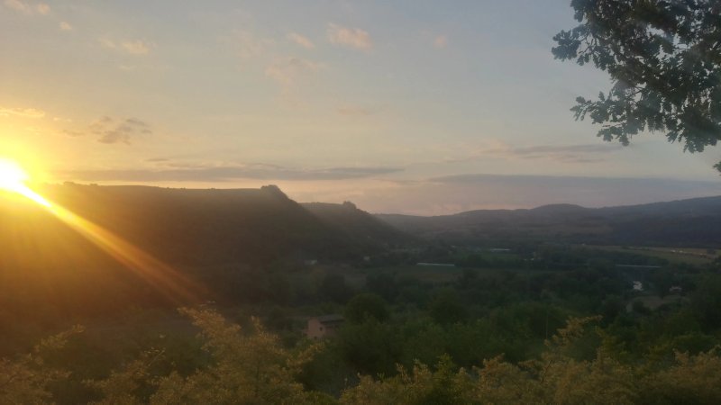 Ristorante dell'Agriturismo La Vite e l'Ulivo