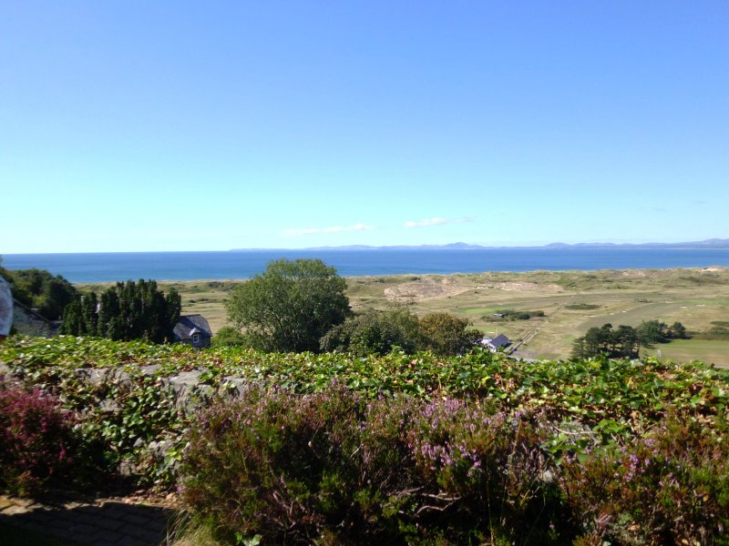 The Plas Cafe