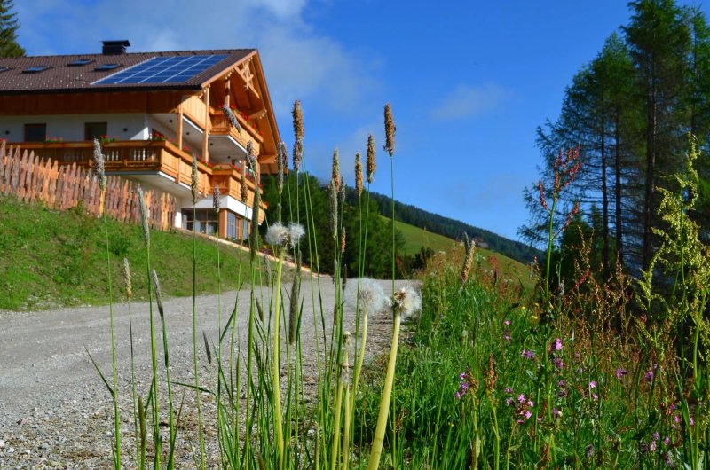 Apartments Oberpichlhof