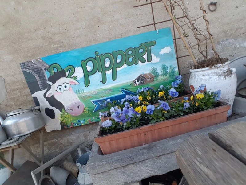 BoerenBed Hoeve de Pippert in de Betuwe