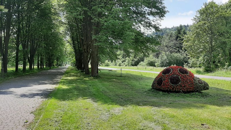 Hotel Klimek Spa