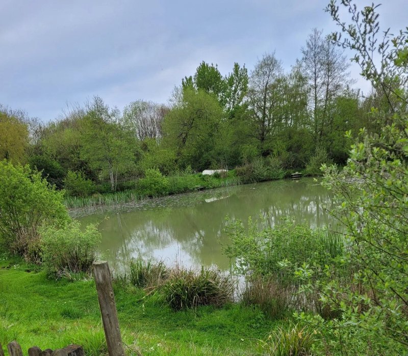 Watermeadow Lakes & Lodges