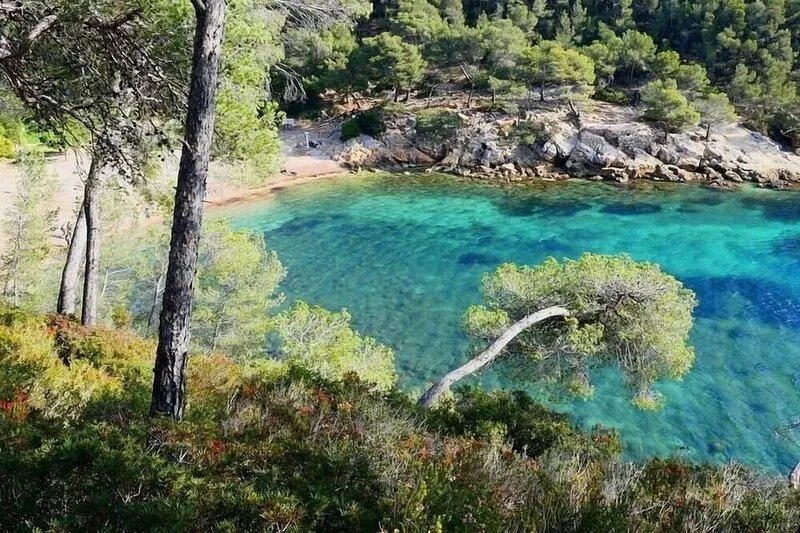 Detached Villa, Pool & Garden, enclosed, Quiet, Bandol, Parking