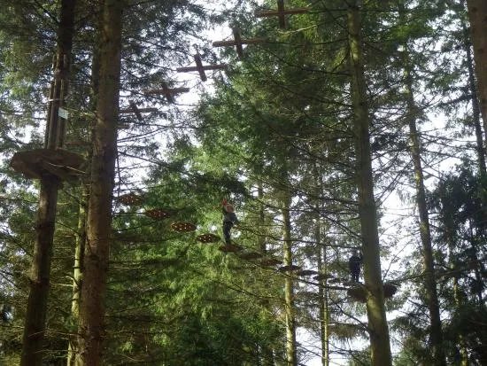 Go Ape Forest Of Dean Beechenhurst