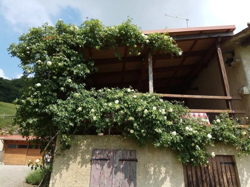 Trattoria Da Rosso