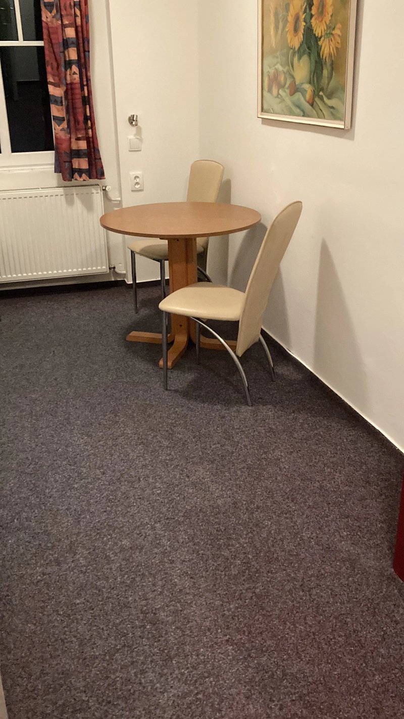 Hotel Pod Zvicinou