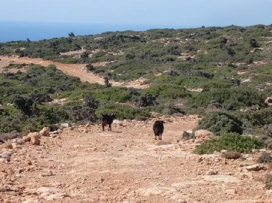 Hotel Neos Matala