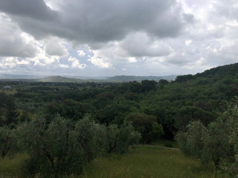 Agriturismo Poggio Diavolino