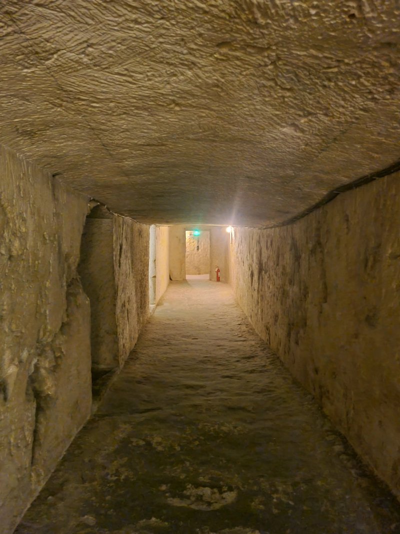 WWII Shelters