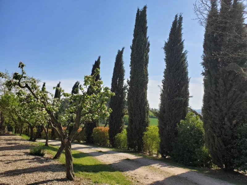 Agriturismo Il Poggiarello