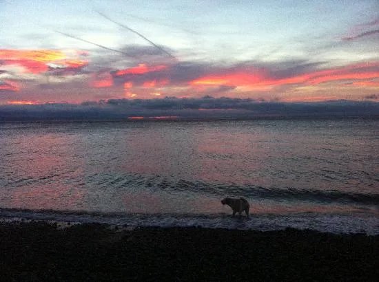 Darven Cottage B&B Sannox, Isle of Arran