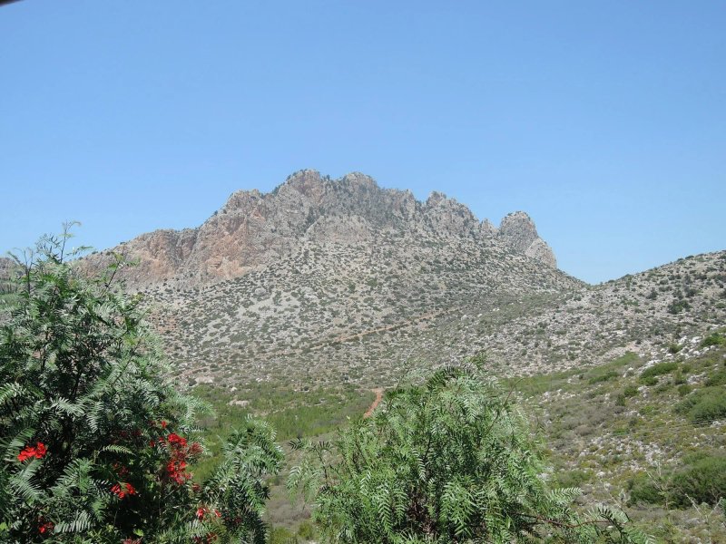 Buffavento