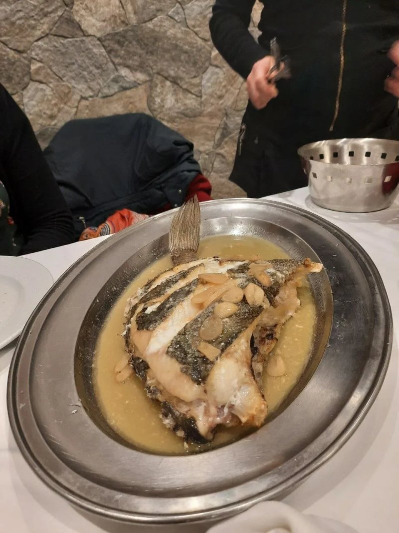 A estrela Galega
