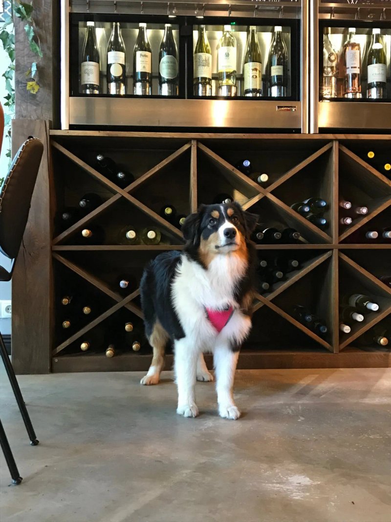 Time To Wine Bar & Shop