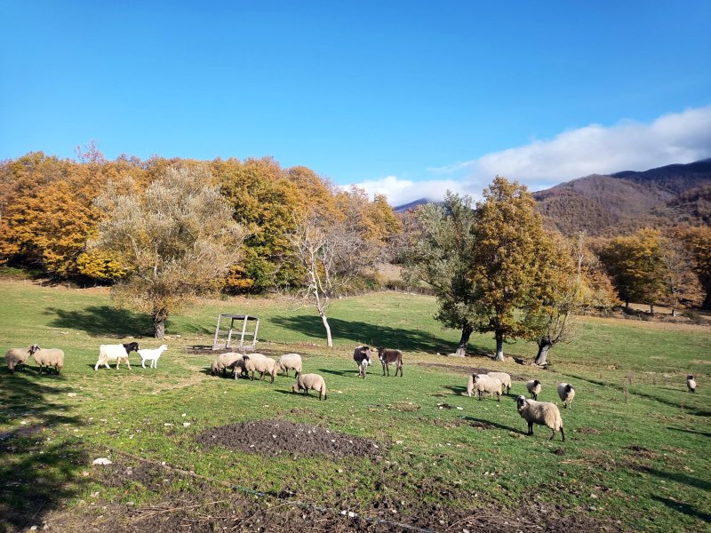 Fattoria di Germagnano