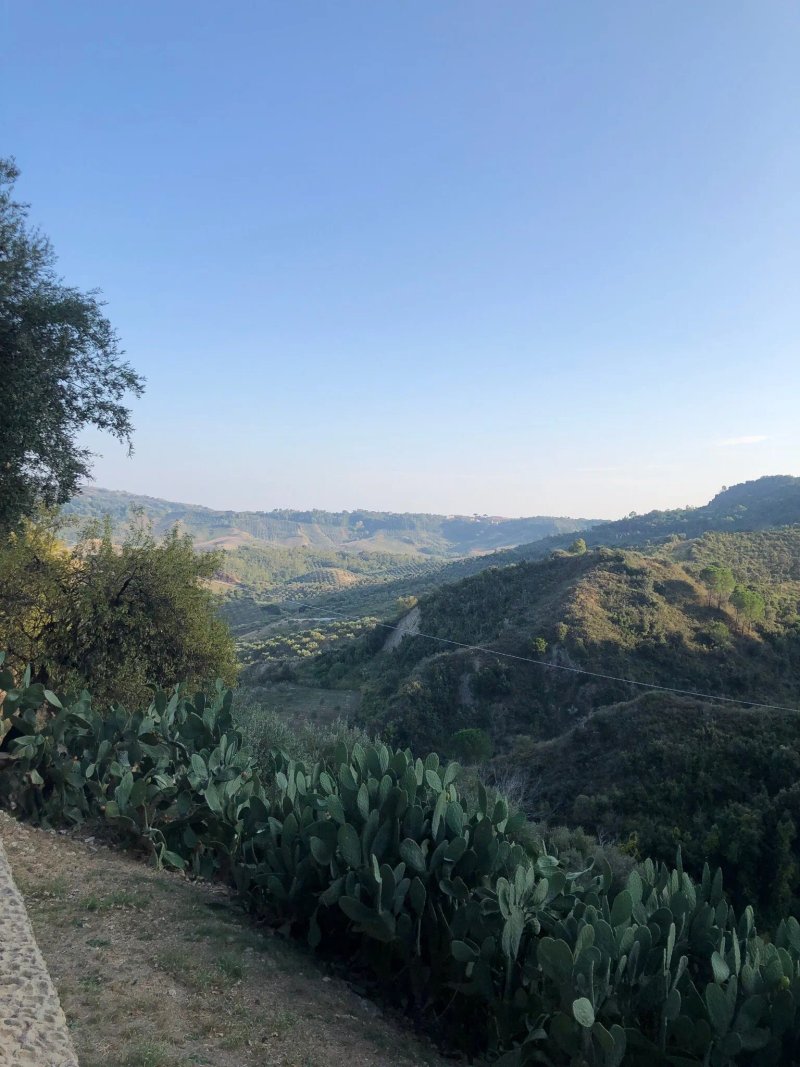 Azienda Agrituristica Le Puzelle