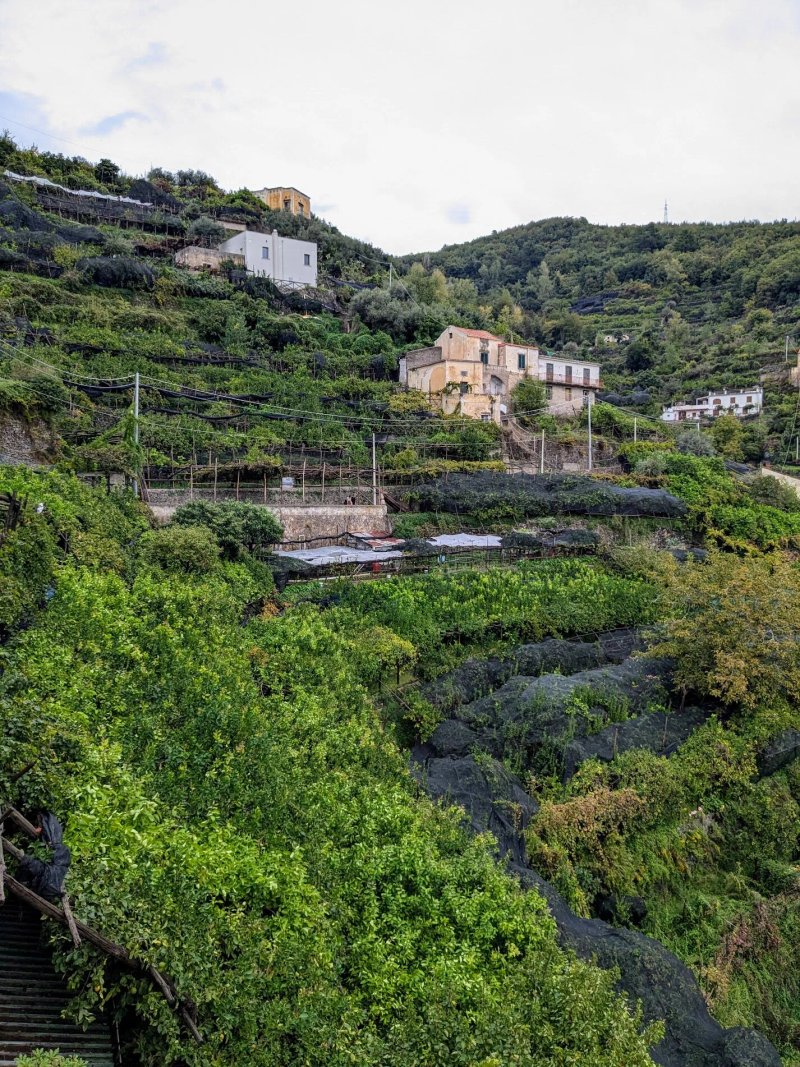 Albergo B&B Riviera