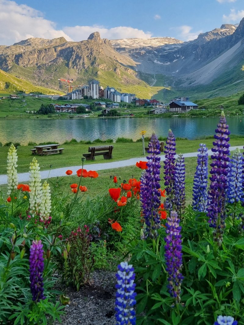 CGH Residences & Spas Le Lodge des Neiges