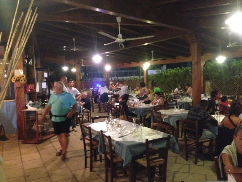 Blue Marlin