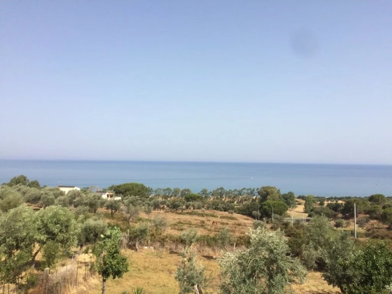 La Valle degli Ulivi