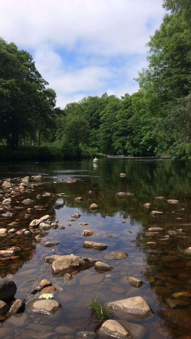 The Quirky Quarry