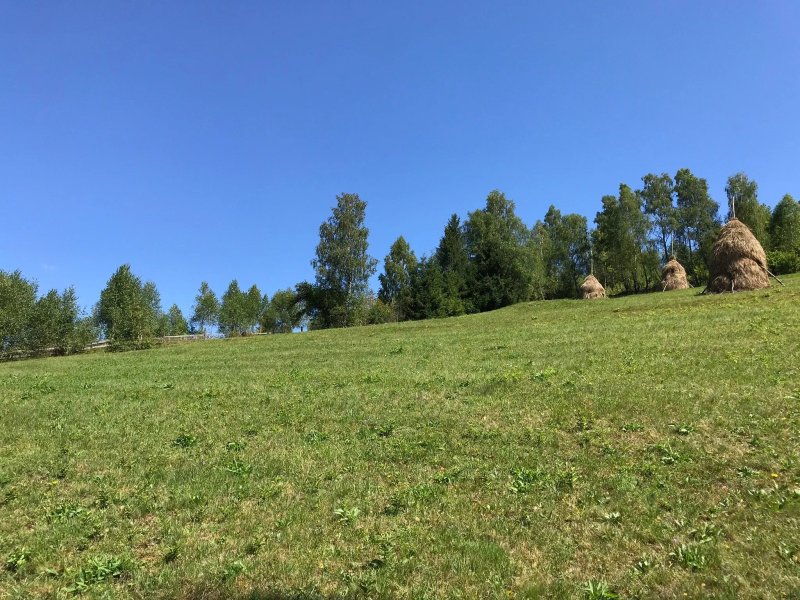 Pensiunea Agroturistica Casa Bradeana
