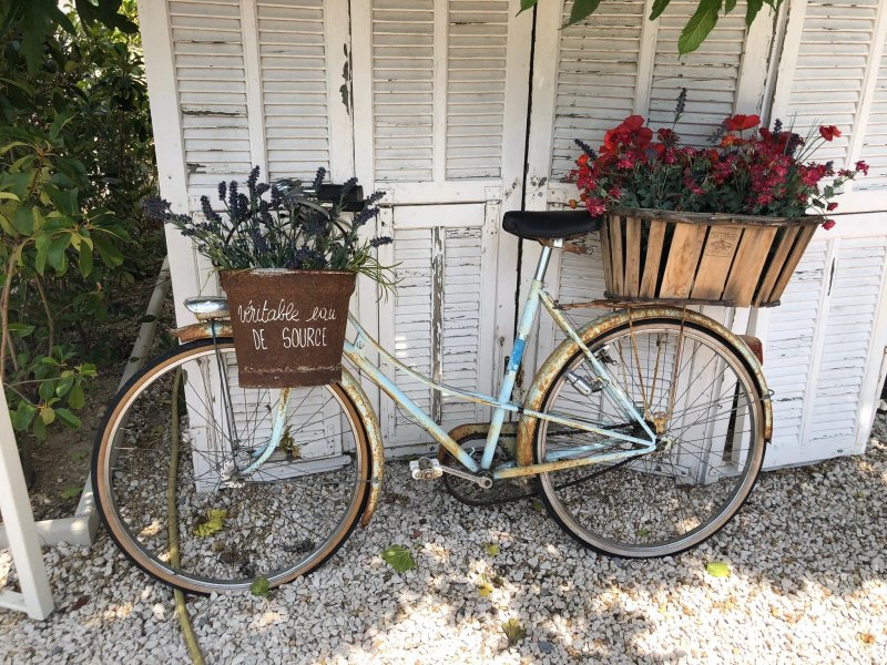 A l'Orée du Pin