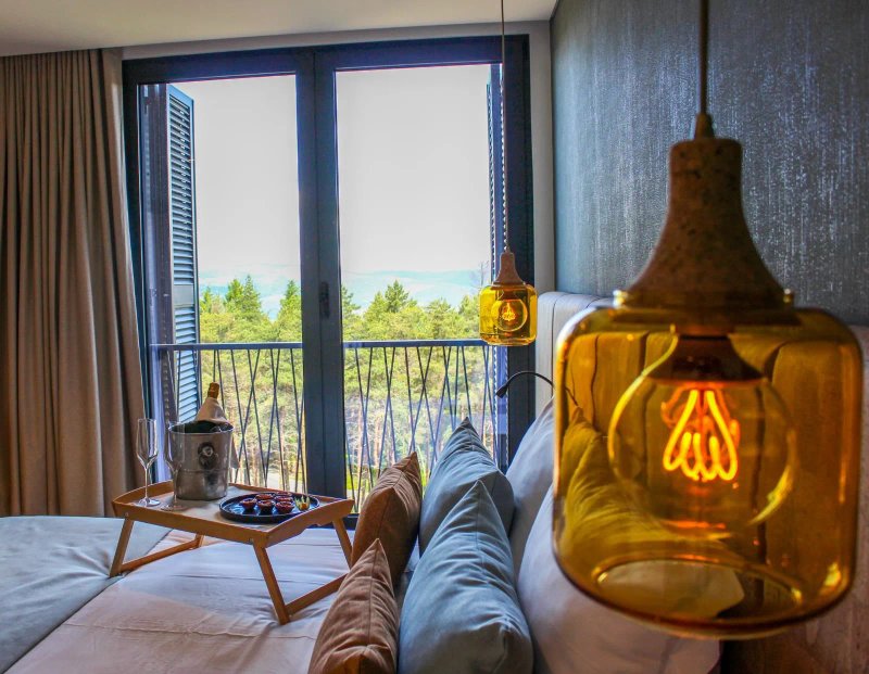 Pena Park Hotel
