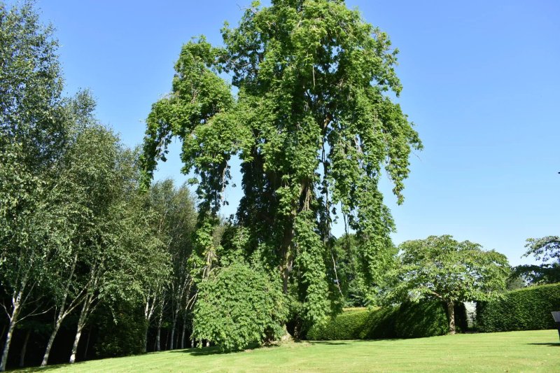 Chatton Park House