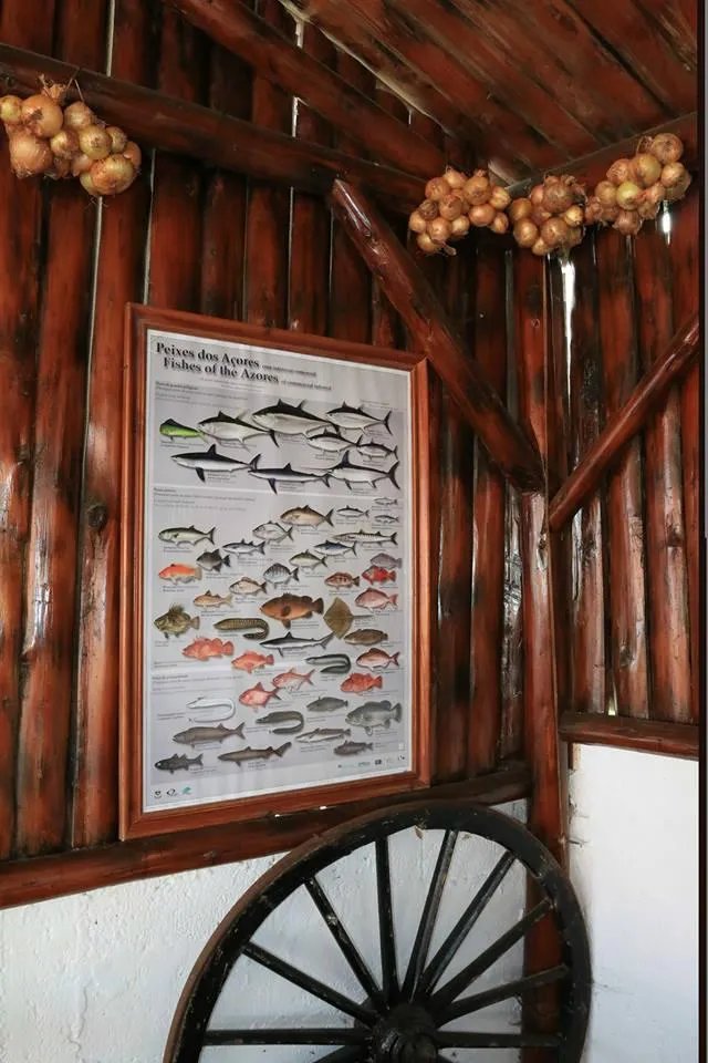 Casa de Pasto O Amaral