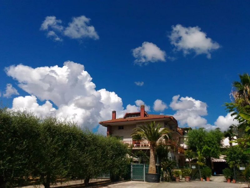 Ristorante Pizzeria le Palme