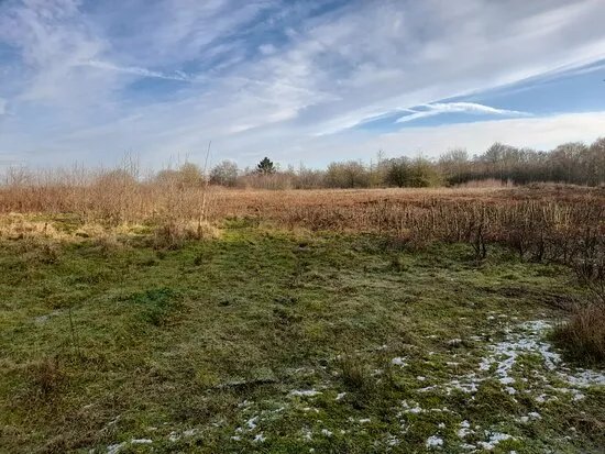 Darley & Nutwood Lnr