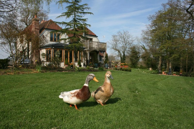 Shoyswell Cottage B&B