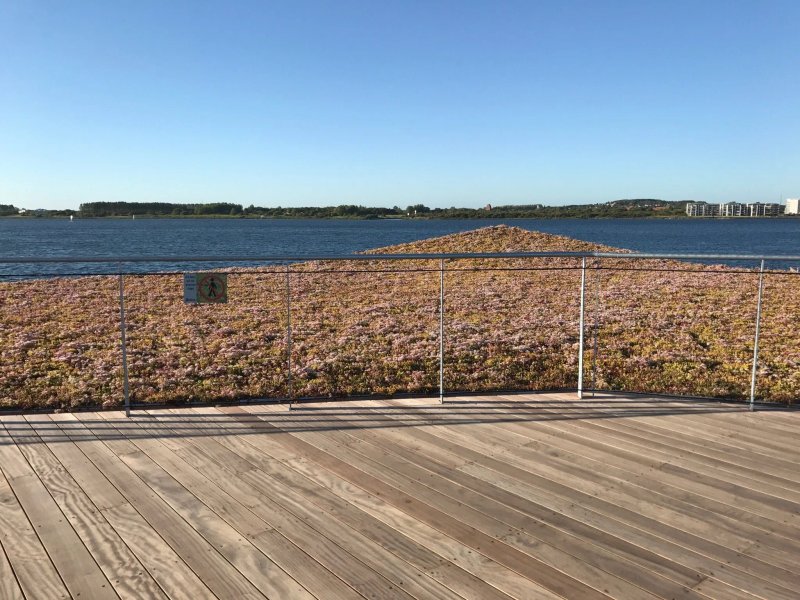 Aalborg Familie Camping - Strandparken