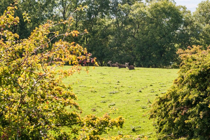 Moreton-in-Marsh Caravan and Motorhome Club Campsite